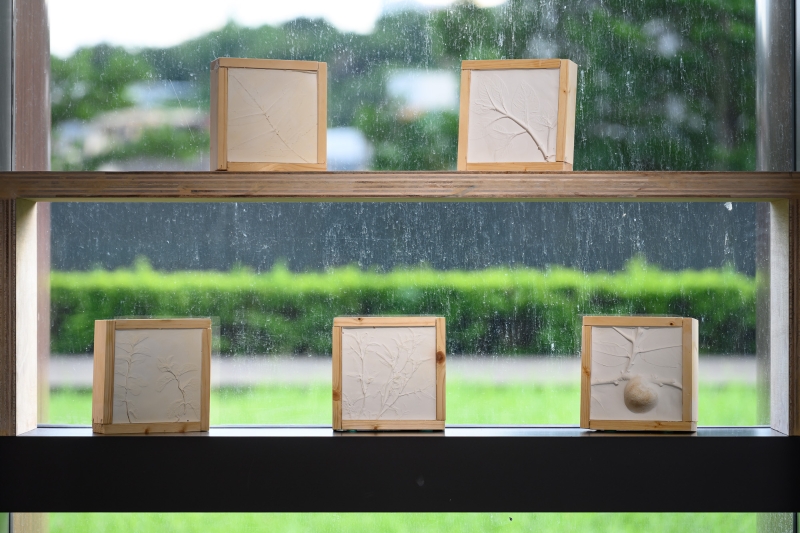 MUNUS–免疫與社群的當代治癒術｜吳虹霏｜國藝會補助成果檔案庫